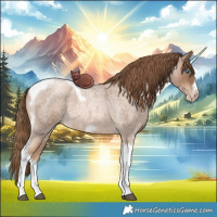Horse Color:Liver Red Roan Pearl Tobiano Frame 