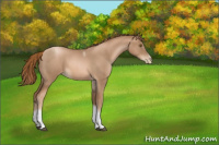 Horse Color:Liver Red Roan Pearl Tobiano Frame 