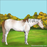 Horse Color:Gray Red Roan Pearl Tobiano 