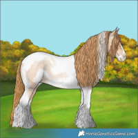 Horse Color:Red Roan Pearl Tobiano Frame
