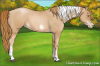 Horse Color:Red Roan Pearl Tobiano Frame 