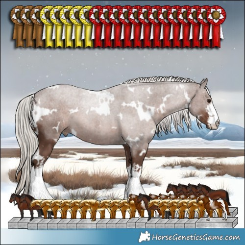 Horse Color:White Spotted Silver Black 