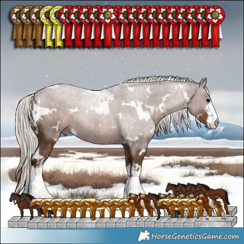 Horse Color:White Spotted Silver Black 