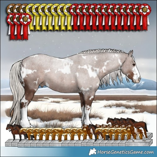 Horse Color:White Spotted Silver Black 