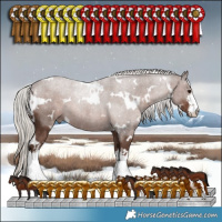 Horse Color:White Spotted Silver Black 