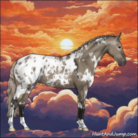 Horse Color:Gray White Spotted Silver Grullo Appaloosa 