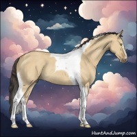 Horse Color:Buckskin Dun Sabino Tobiano Rabicano