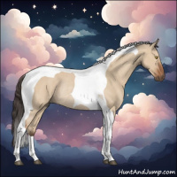 Horse Color:Bay Dun Tobiano Rabicano 