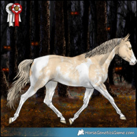 Horse Color:Palomino Dun Sabino Tobiano Rabicano