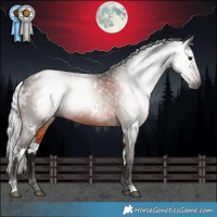 Horse Color:Gray White Spotted Silver Brown 