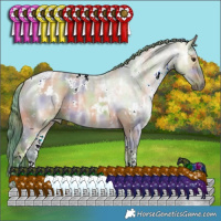 Horse Color:Nacre Watercolor White Spotted Brown Ice Dun 
