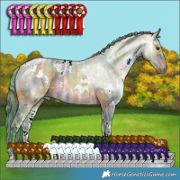 Horse Color:Nacre Watercolor White Spotted Brown Ice Dun 
