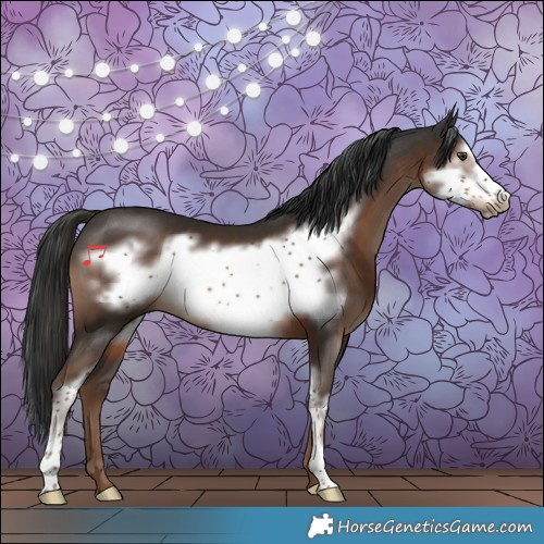Horse Color:Liver Chestnut Sabino Frame 