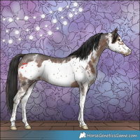 Horse Color:Liver Chestnut Sabino Frame 