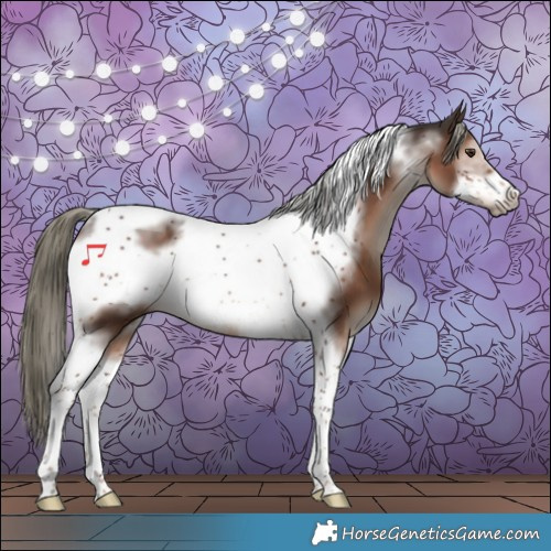 Horse Color:Liver Chestnut Mushroom Sabino Tobiano Frame 