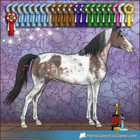 Horse Color:Brown Sabino Tobiano