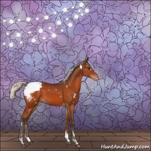 Horse Color:White Spotted Silver Brown Tobiano Appaloosa Rabicano 