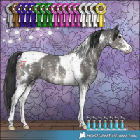 Horse Color:Black Sabino Tobiano