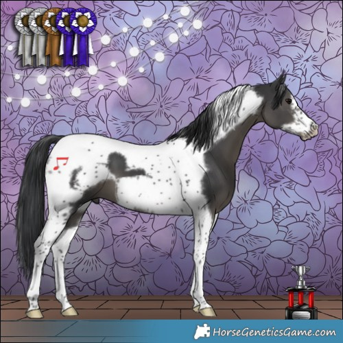 Horse Color:Black Tobiano Frame 