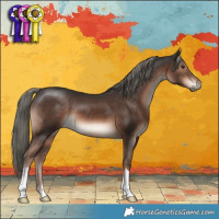 Horse Color:Liver Chestnut Mushroom 