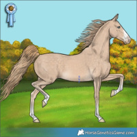 Horse Color:Perlino 