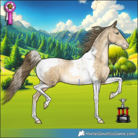 Horse Color:Buckskin Pearl Tobiano