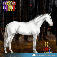 Horse Color:Buckskin Roan Pearl Dun Tobiano Appaloosa Rabicano