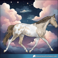 Horse Color:Buckskin Roan Pearl Tobiano Blanket 