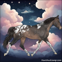Horse Color:Brown Tobiano Blanket Rabicano 