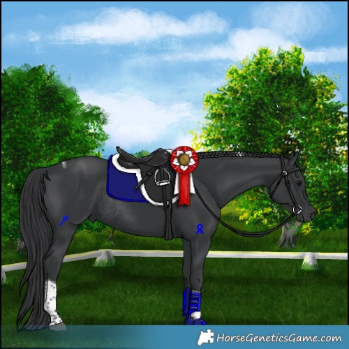 Horse Color:Black Tobiano Rabicano 