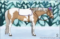 Horse Color:Silver Bay Dun Splash Tobiano Frame