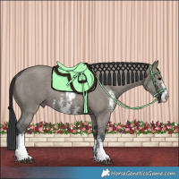 Horse Color:Grullo Sabino Rabicano 