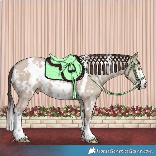 Horse Color:White Spotted Classic Champagne Dun Sabino Rabicano 