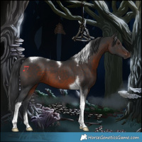 Horse Color:Brown Tobiano 