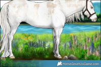 Horse Color:Plaid  White Spotted Cremello Onyx 