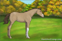 Horse Color:Classic Cream Champagne 