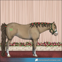 Horse Color:Classic Cream Champagne 