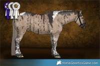 Horse Color:Liver Red Dun Tobiano Rabicano Brindle