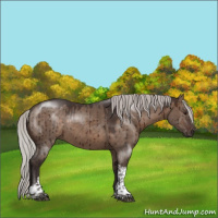 Horse Color:Silver Brown Dun Tobiano Rabicano Brindle 