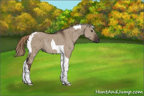 Horse Color:Liver Red Dun Tobiano Rabicano Brindle 