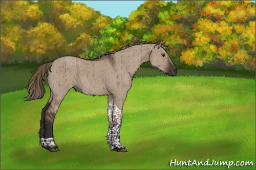 Horse Color:Liver Red Dun Tobiano Rabicano Brindle 