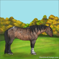 Horse Color:Brown Dun Tobiano Brindle 