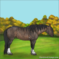Horse Color:Brown Dun Tobiano Brindle 