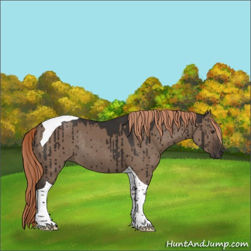 Horse Color:Liver Red Dun Tobiano Rabicano Brindle 