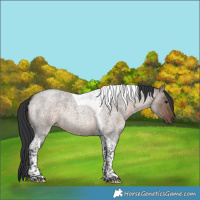 Horse Color:Brown Roan Dun Tobiano Brindle 