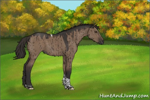 Horse Color:Liver Red Dun Tobiano Rabicano Brindle 