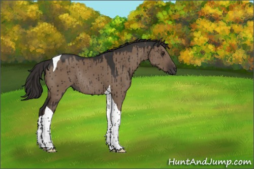Horse Color:Liver Red Dun Tobiano Rabicano Brindle 