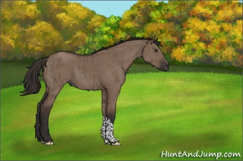 Horse Color:Liver Red Dun Tobiano Brindle 