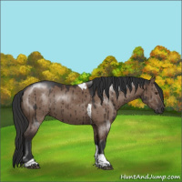 Horse Color:Liver Red Dun Tobiano Rabicano Brindle 