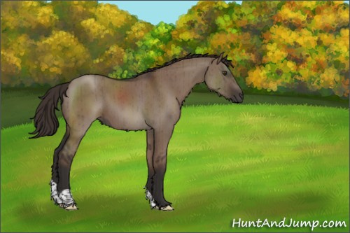 Horse Color:Liver Red Dun Tobiano Rabicano Brindle 
